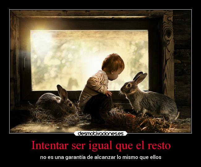 carteles vida exito desmotivaciones