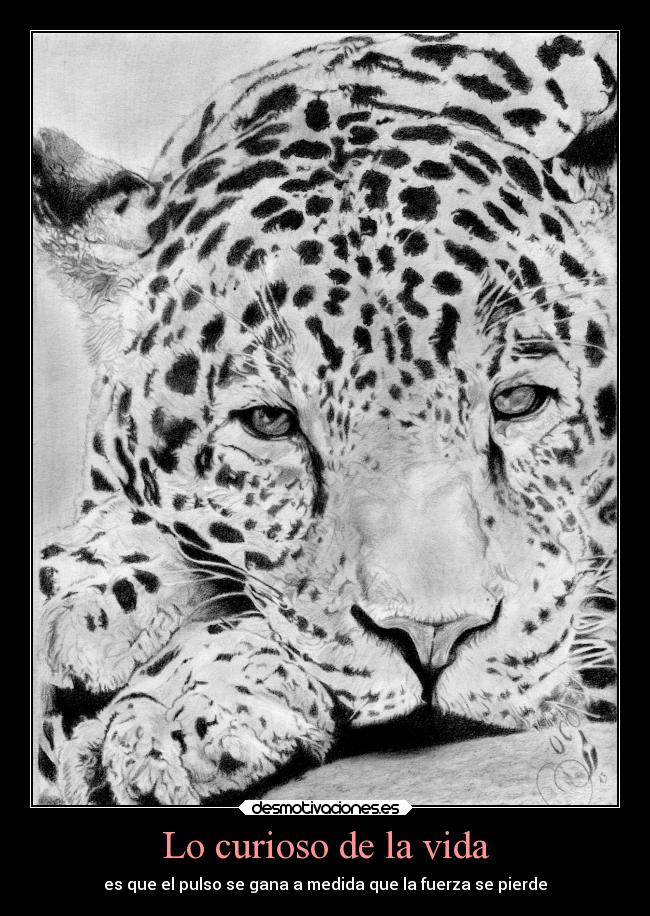 Lo curioso de la vida - es que el pulso se gana a medida que la fuerza se pierde