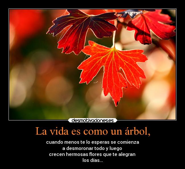 carteles vida vida malos momentos superan desmotivaciones