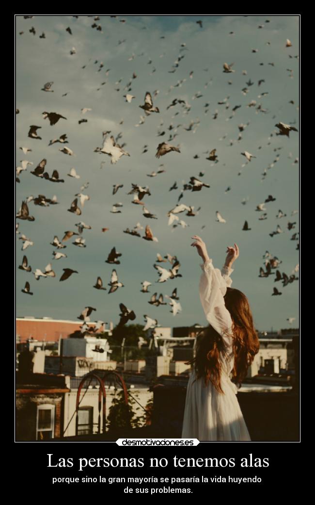 Las personas no tenemos alas - 
