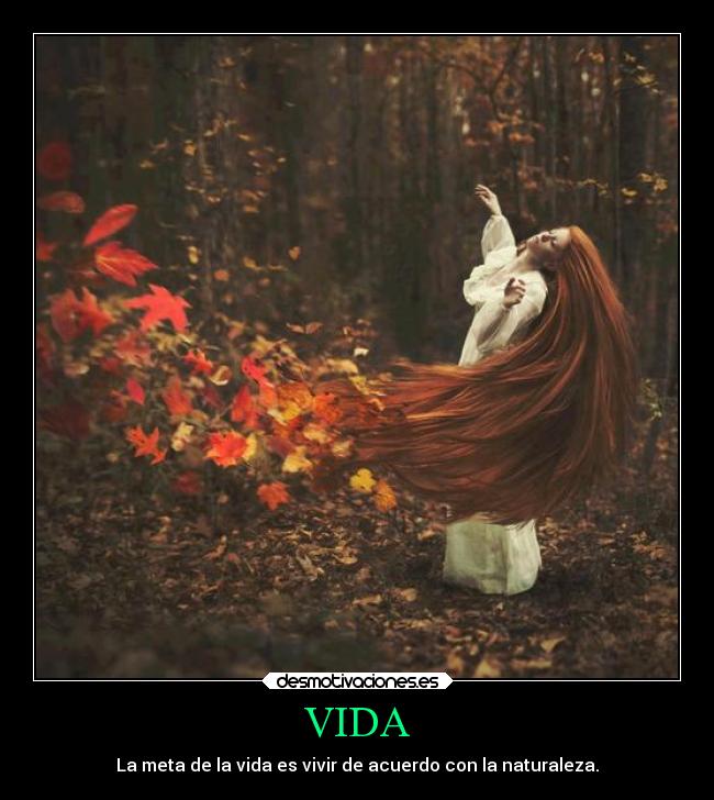 VIDA - La meta de la vida es vivir de acuerdo con la naturaleza.