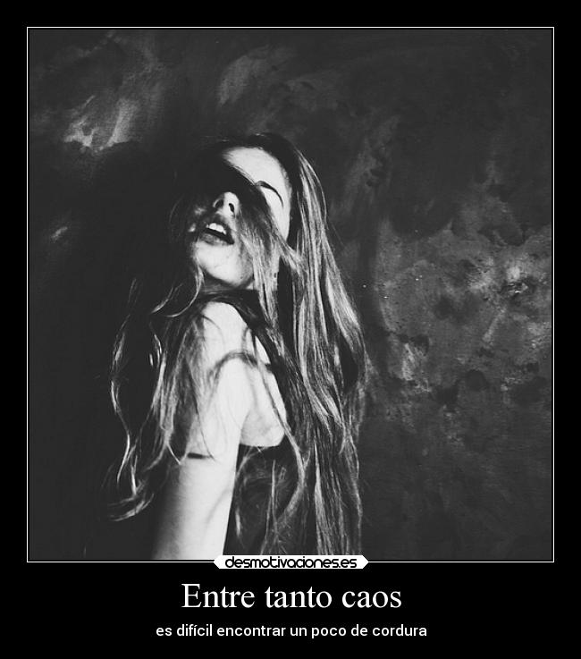 Entre tanto caos - es difícil encontrar un poco de cordura