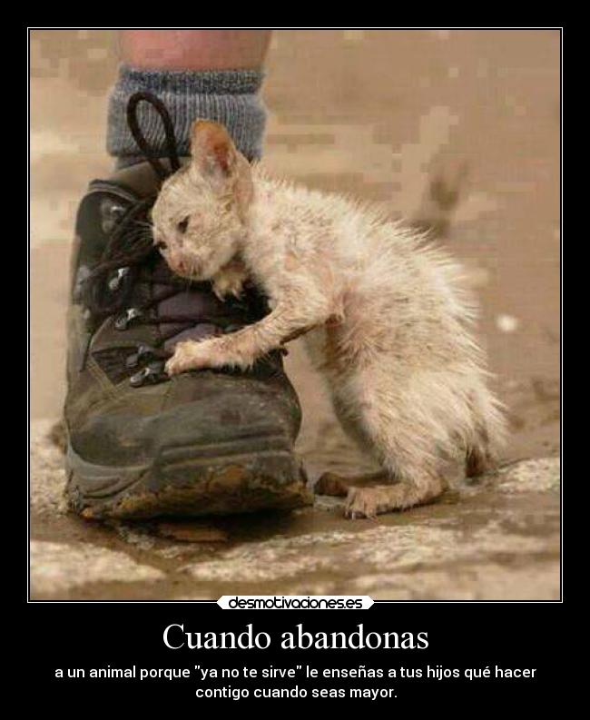 Cuando abandonas - a un animal porque ya no te sirve le enseñas a tus hijos qué hacer
contigo cuando seas mayor.