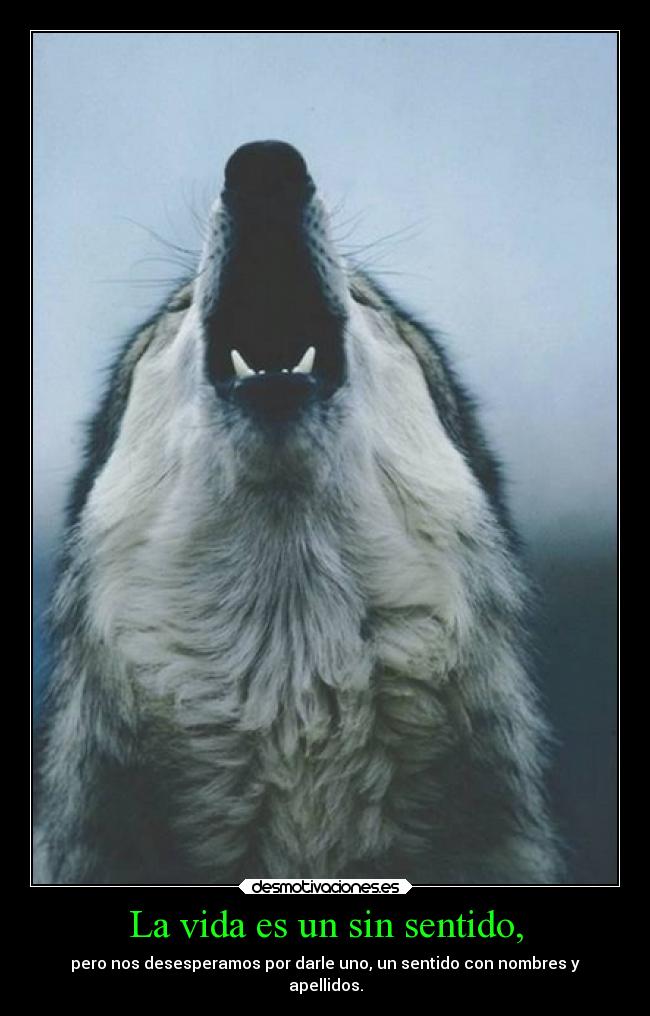 La vida es un sin sentido, -