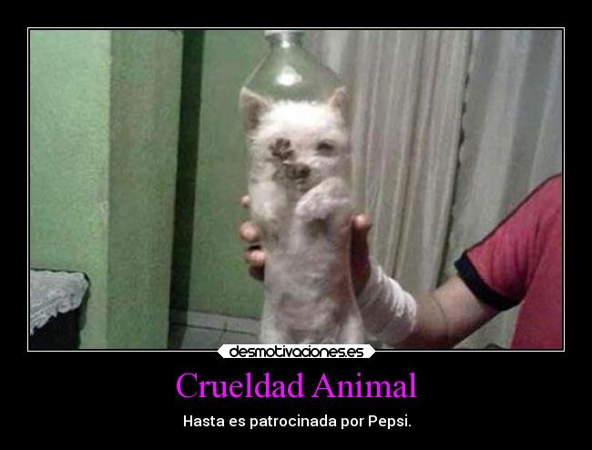 carteles vida tristeza enfados mexico odio dolor animales crueldad desmotivaciones