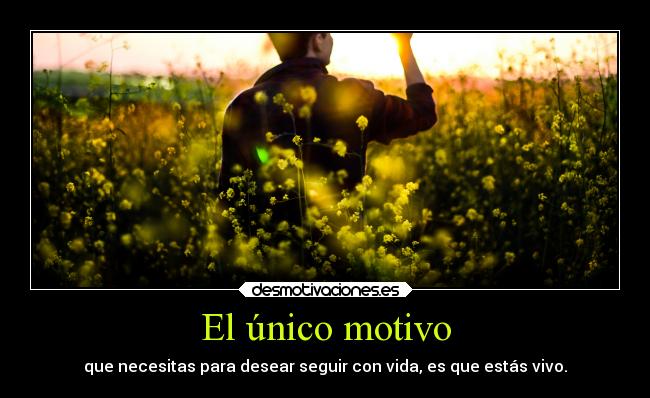 El único motivo - 