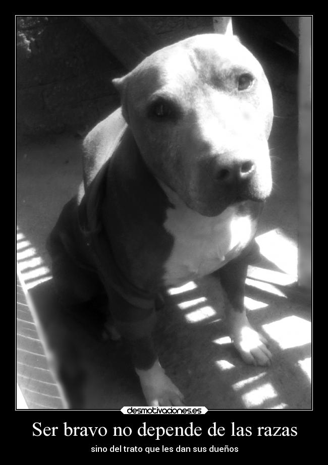 carteles casa esterrymiamigofiel desmotivaciones