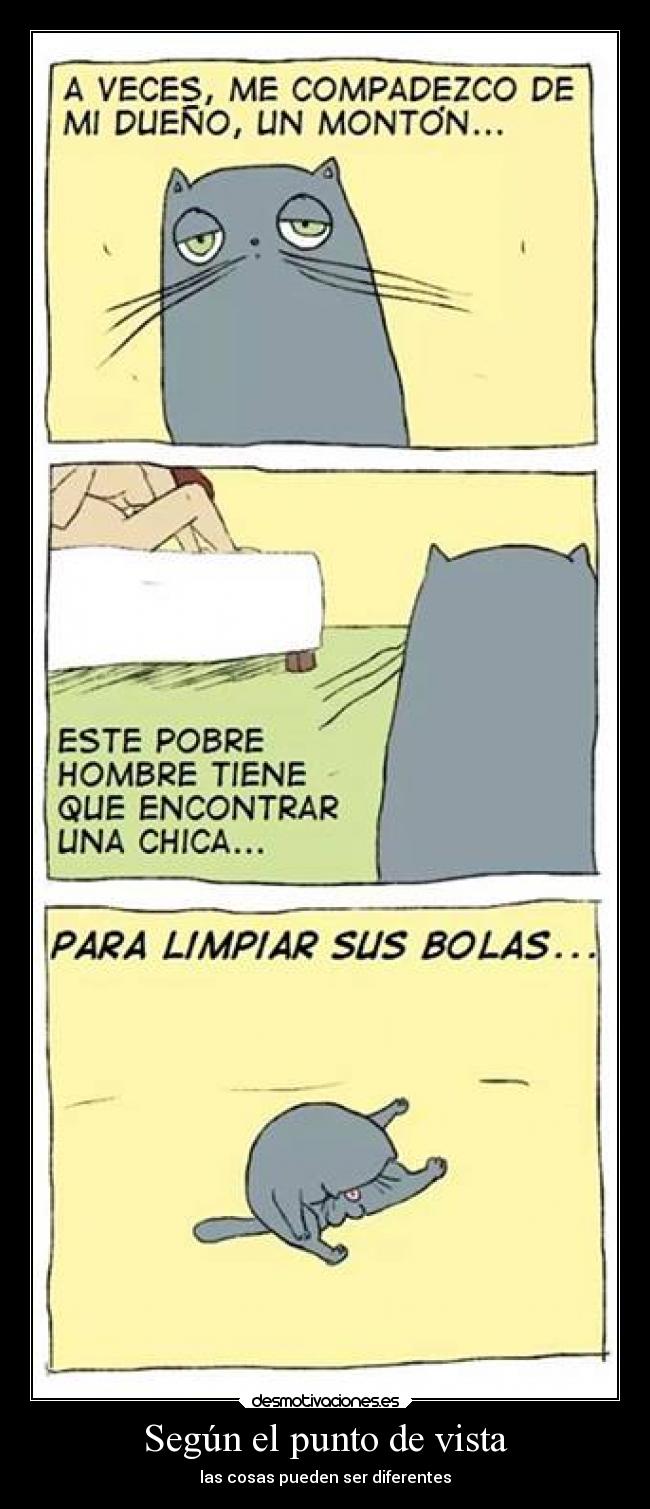 Según el punto de vista -