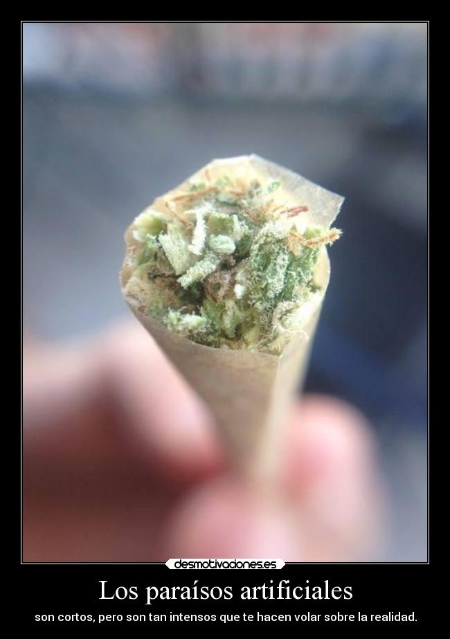 Los paraísos artificiales - 