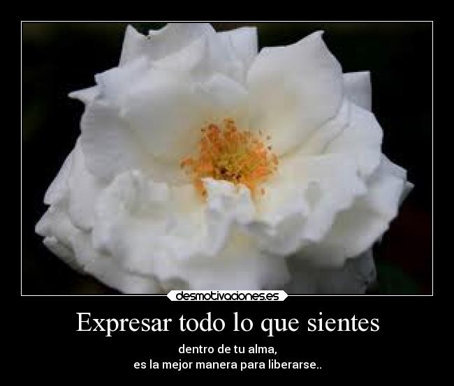 Expresar todo lo que sientes - dentro de tu alma,
es la mejor manera para liberarse..