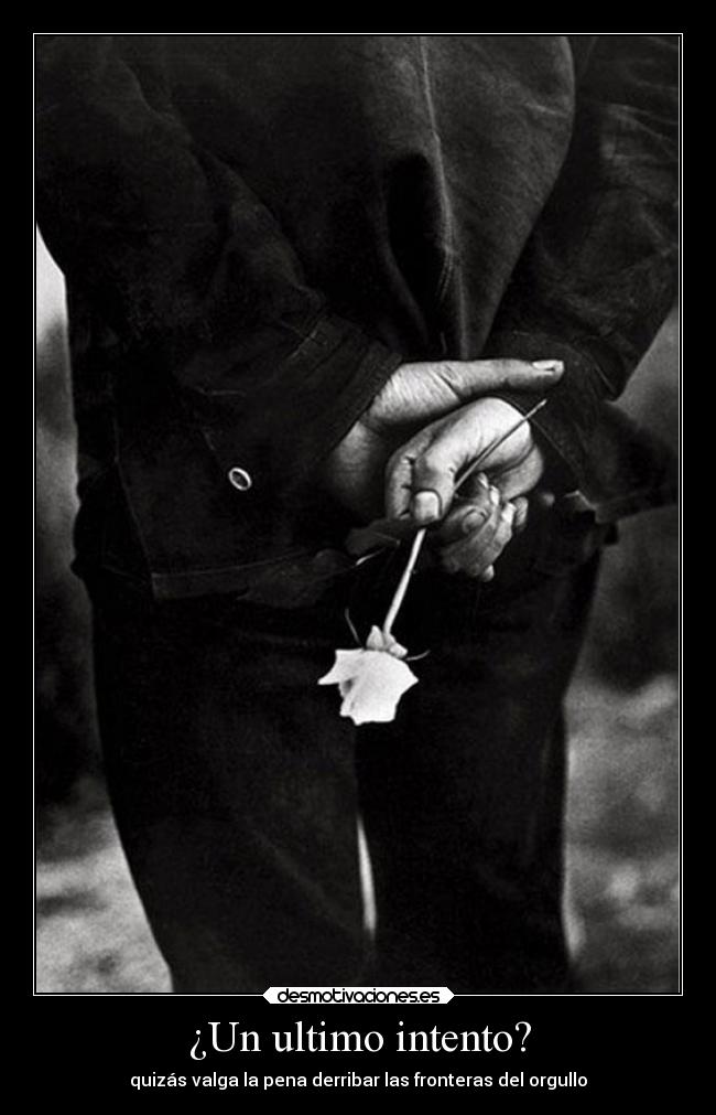 ¿Un ultimo intento? - quizás valga la pena derribar las fronteras del orgullo