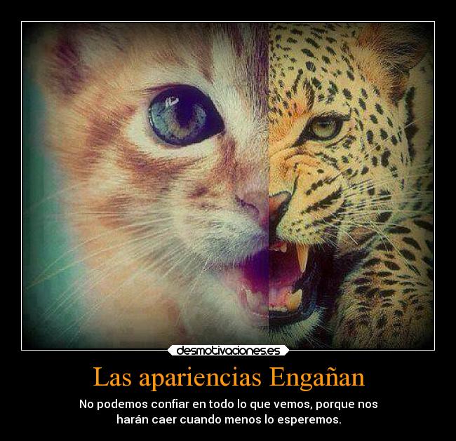 Las apariencias Engañan -