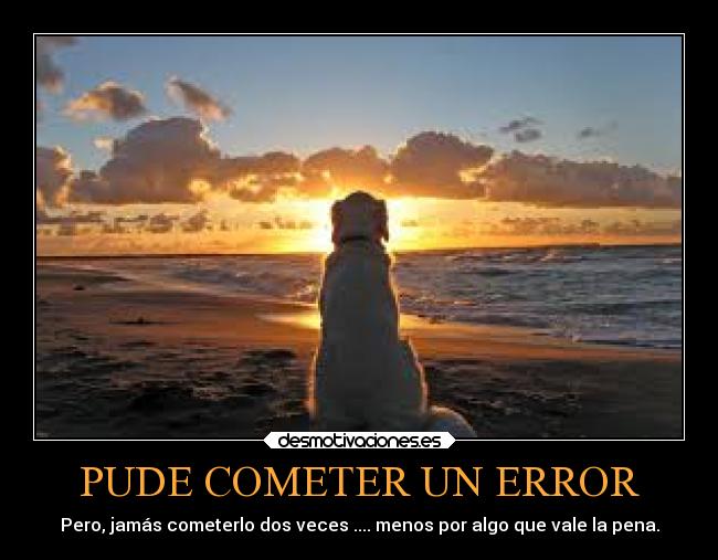 PUDE COMETER UN ERROR - 