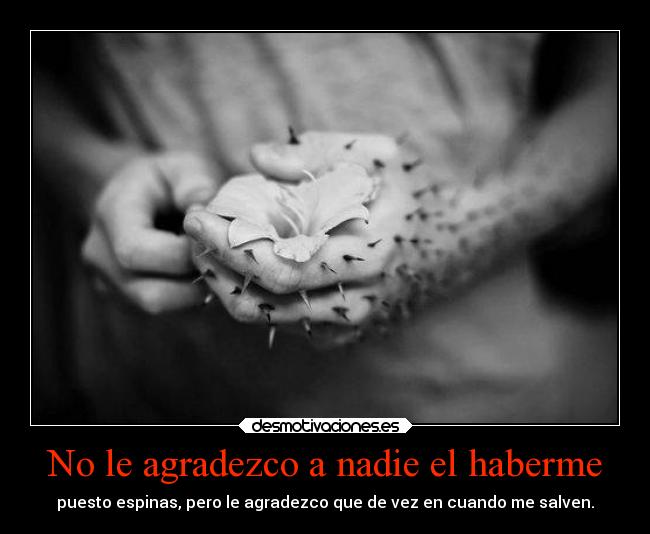 No le agradezco a nadie el haberme -