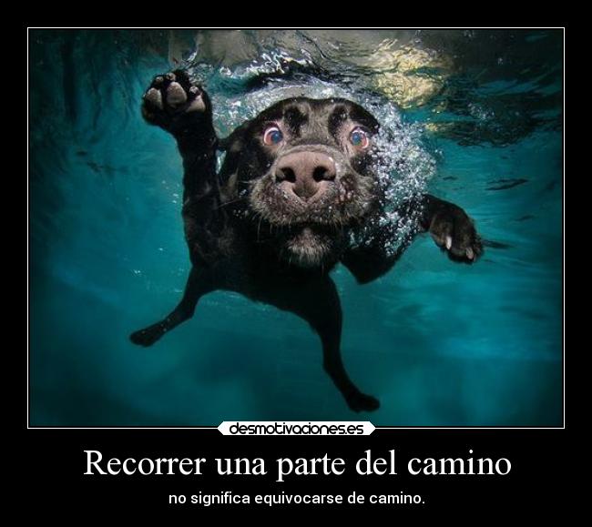 carteles confianza vida desmotivaciones