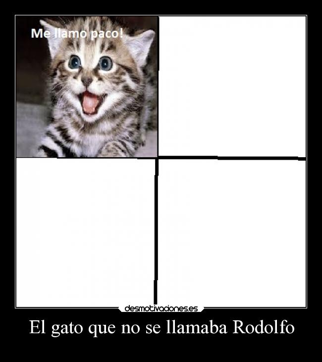 El gato que no se llamaba Rodolfo -