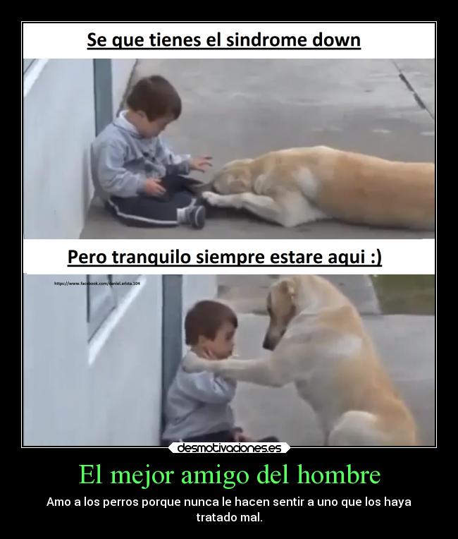 El mejor amigo del hombre - Amo a los perros porque nunca le hacen sentir a uno que los haya
tratado mal.