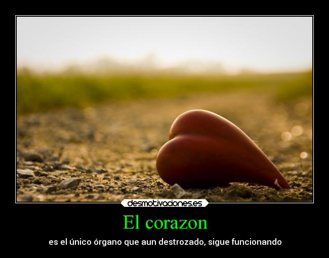El corazon - es el único órgano que aun destrozado, sigue funcionando