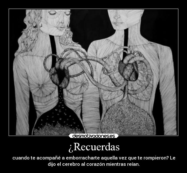 ¿Recuerdas - cuando te acompañé a emborracharte aquella vez que te rompieron? Le
dijo el cerebro al corazón mientras reían.
