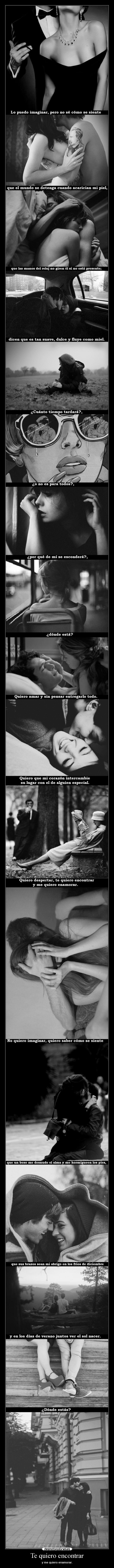 Te quiero encontrar -