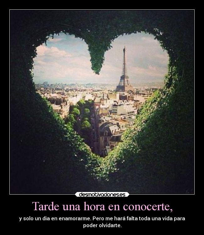 Tarde una hora en conocerte, - 