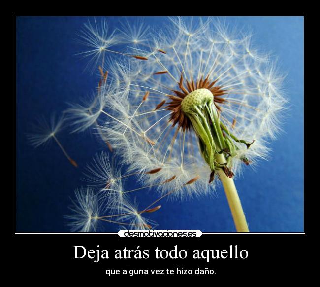 Deja atrás todo aquello - que alguna vez te hizo daño.
