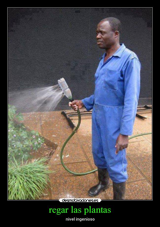 regar las plantas -