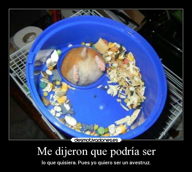 Me dijeron que podría ser -