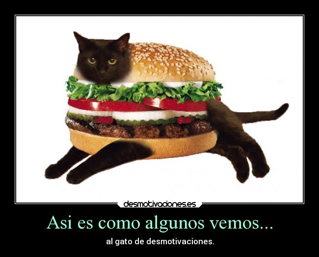 Asi es como algunos vemos... - al gato de desmotivaciones.