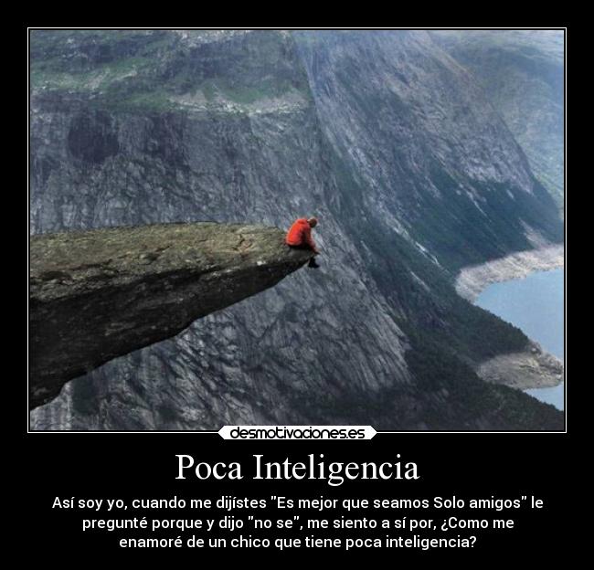 Poca Inteligencia -