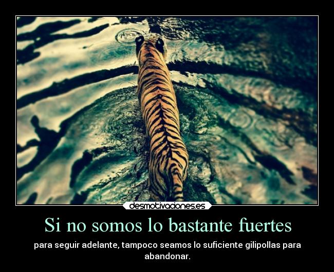 Si no somos lo bastante fuertes - 