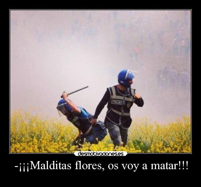 -¡¡¡Malditas flores, os voy a matar!!! -