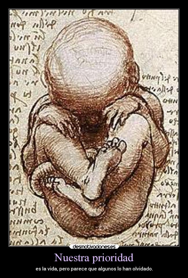 carteles desmotivaciones vida promesas bebe prioridad desmotivaciones