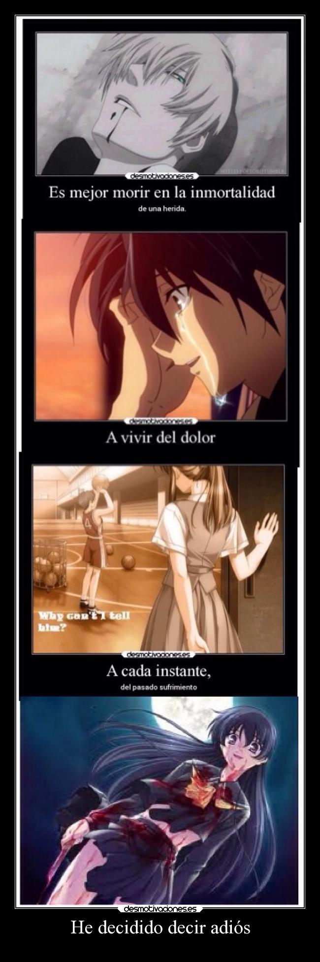 He decidido decir adiós -