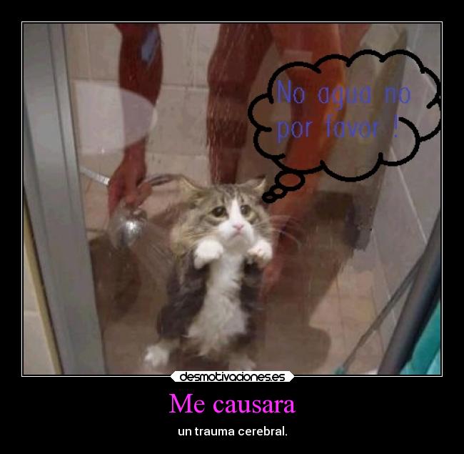 Me causara - un trauma cerebral.