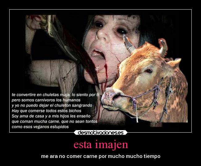 carteles dolor desmotivaciones