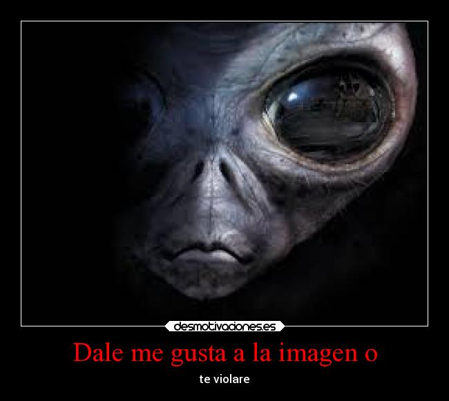 Dale me gusta a la imagen o -