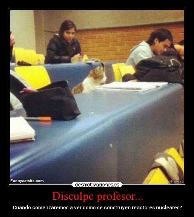 carteles escuela mundo gato domina desmotivaciones