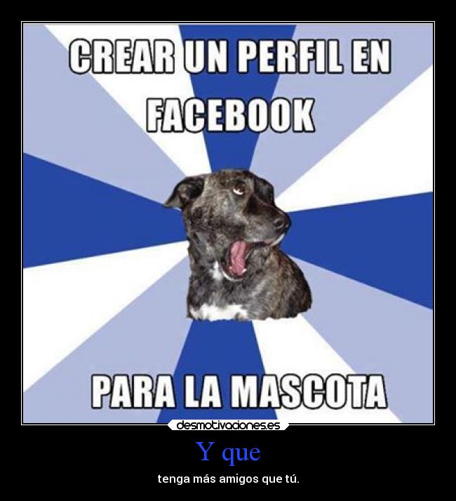 carteles facebook animales mascota amogos perfil mas que desmotivaciones