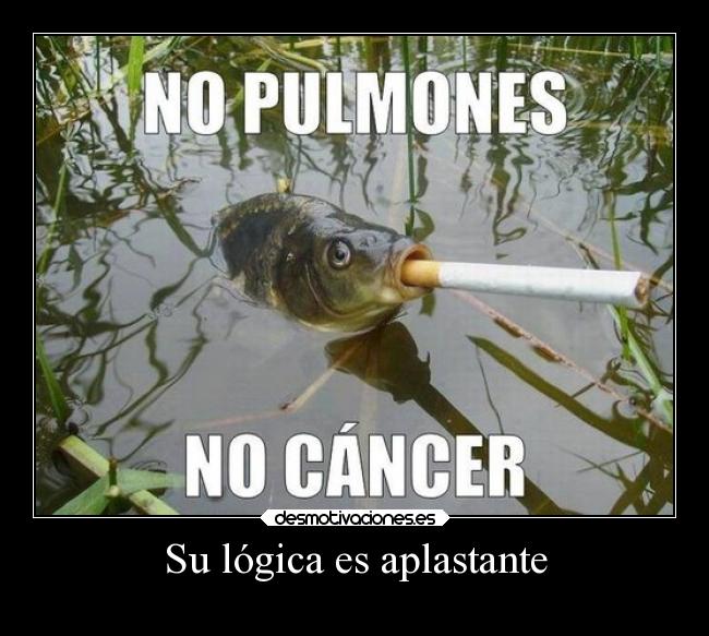 Su lógica es aplastante -