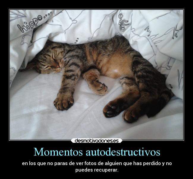 Momentos autodestructivos - en los que no paras de ver fotos de alguien que has perdido y no
puedes recuperar.