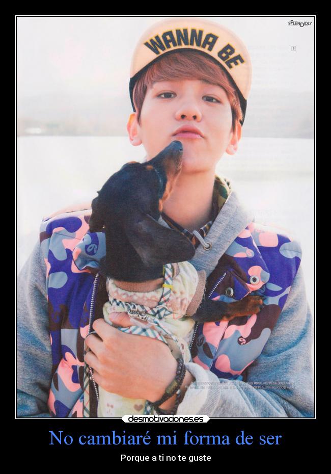 carteles felicidad quien quieras ser solo vive baekhyun exo desmotivaciones