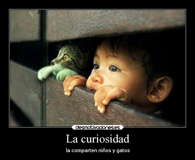 La curiosidad - 
