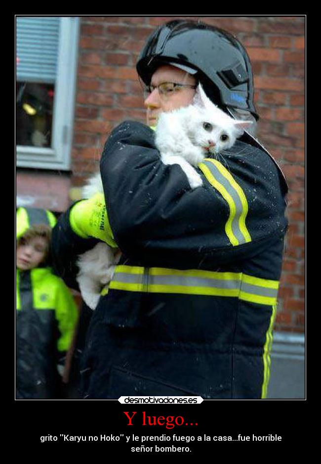 carteles gatos anime fairy tail natsu dragneel karyu hoko desmotivaciones