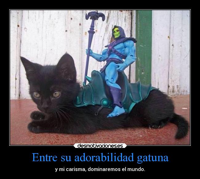 Entre su adorabilidad gatuna - y mi carisma, dominaremos el mundo.