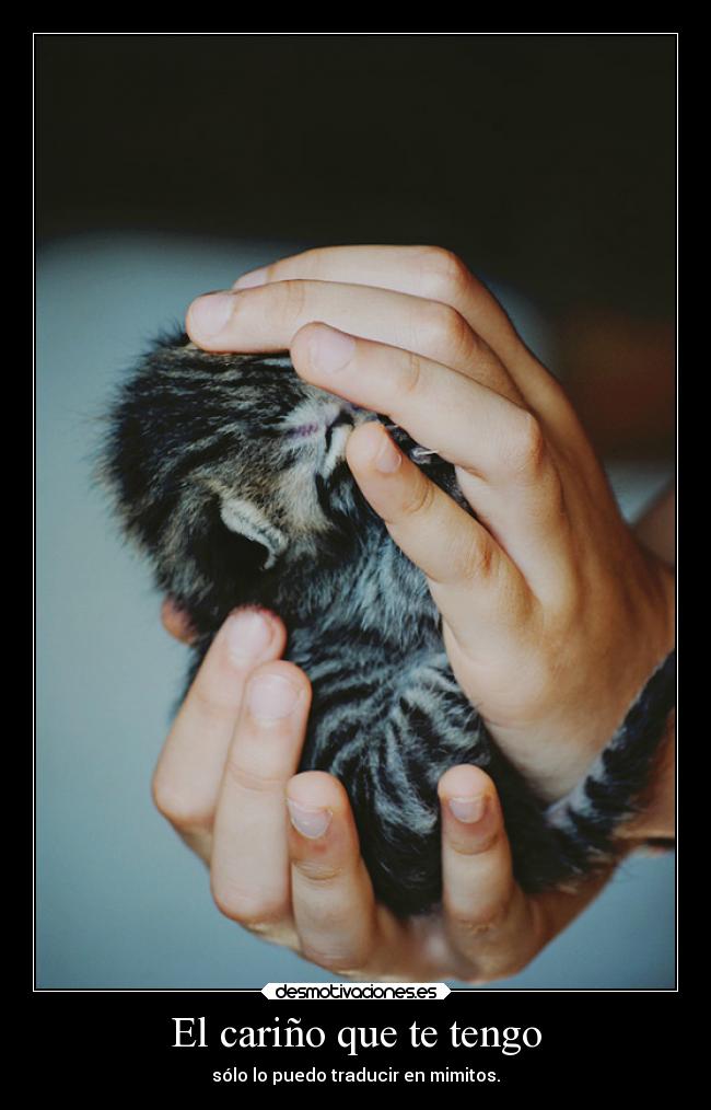 El cariño que te tengo -