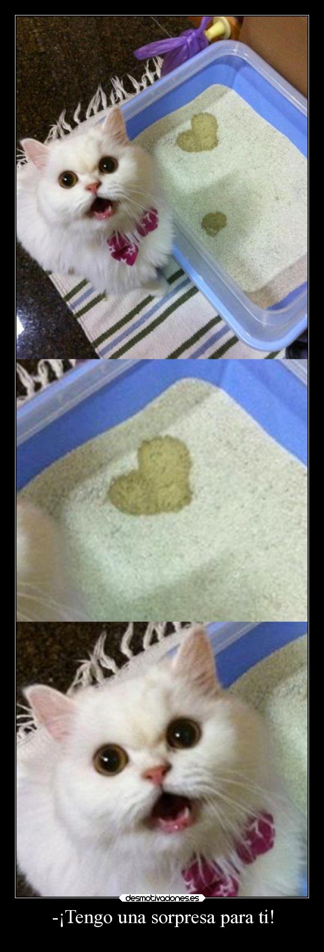 -¡Tengo una sorpresa para ti! -