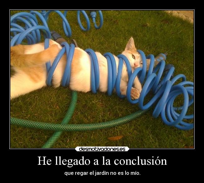 He llegado a la conclusión -