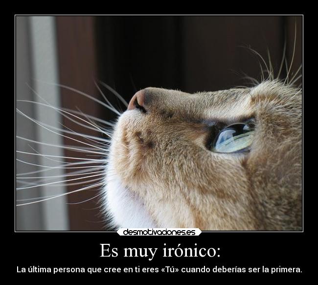 Es muy irónico: - 
