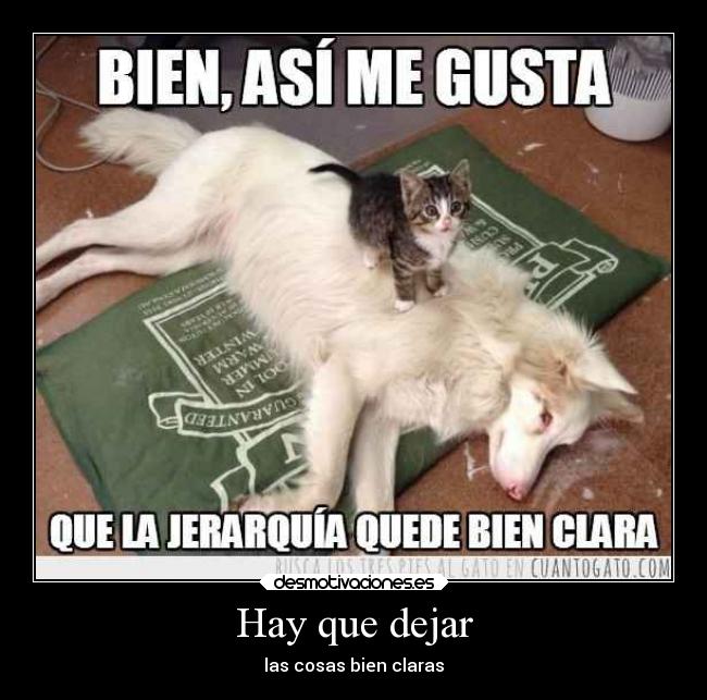 Hay que dejar - las cosas bien claras